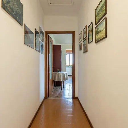 Sciura Elena's Terrace With Lake, Mounts & Valley By Halldis Apartment Garzeno